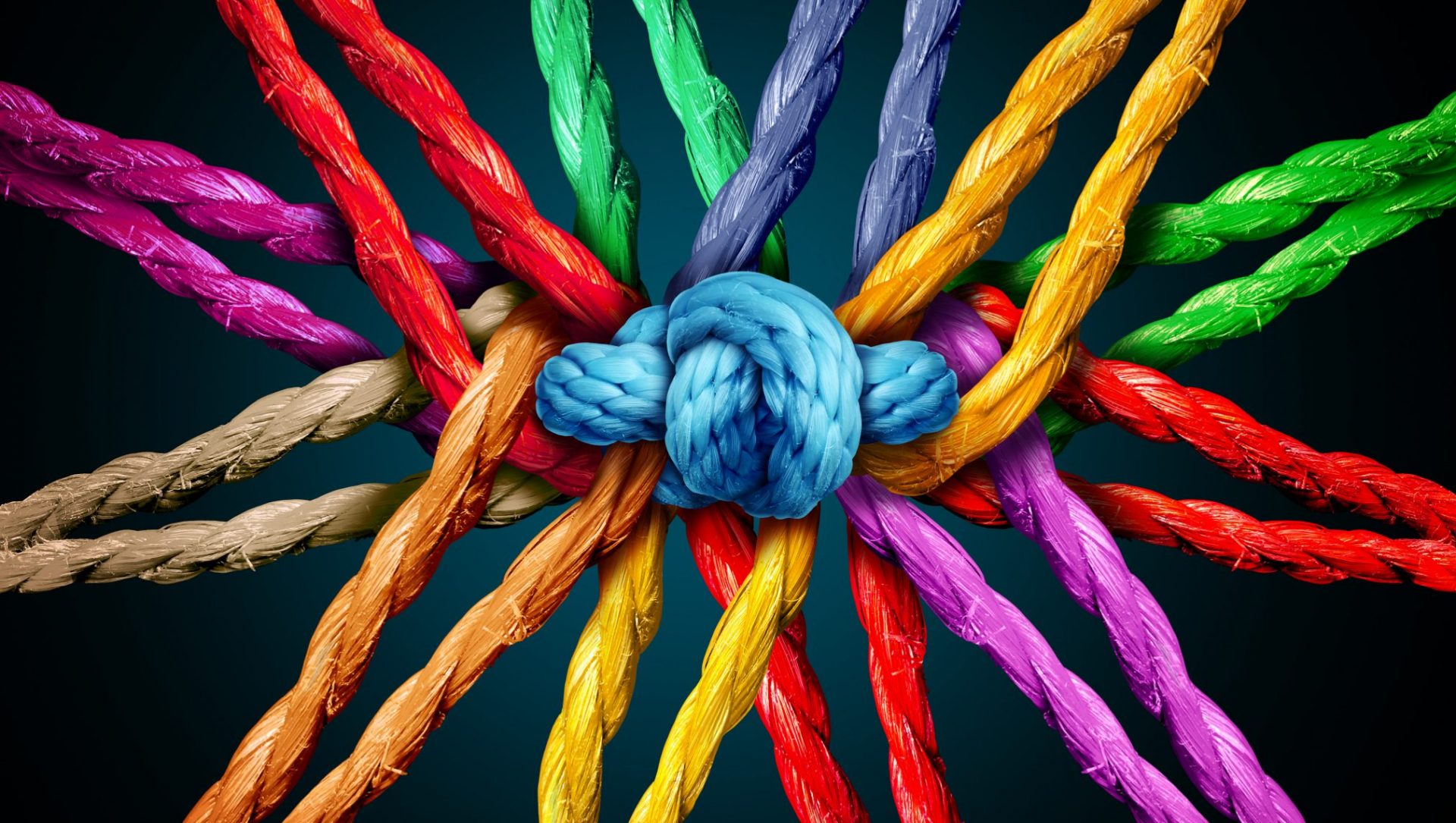 Knot made with multicolour ropes to represent cocreation